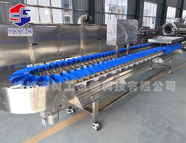 海參鮑魚(yú)分級(jí)機(jī)